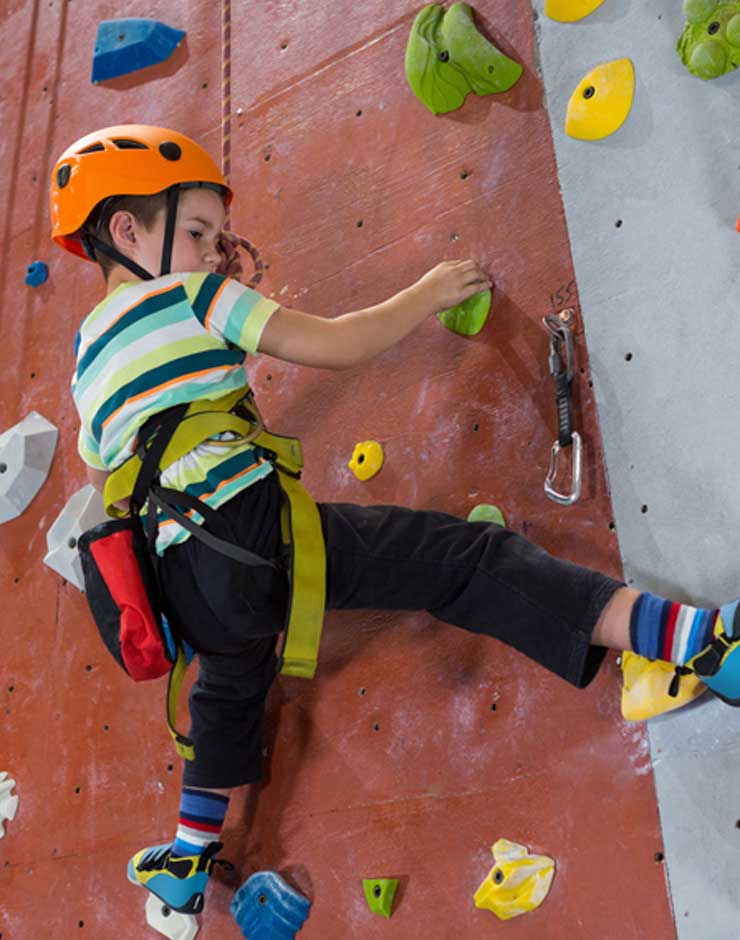 Muro de escalada